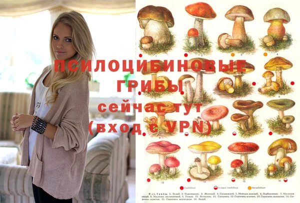PSILOCYBIN Сосновка