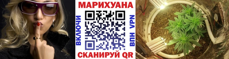 Бошки марихуана OG Kush Кстово